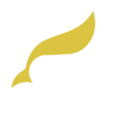 owl_markenting